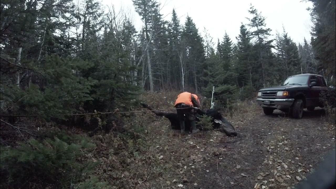 field dress a moose 2018 YouTube