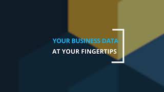 PCS Software Mobile BI screenshot 3