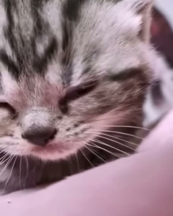 YANG BENAR DISALAHKAN, YANG SALAH DIBENARKAN 😭😭😭