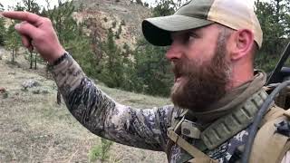 Montana Tongue River Breaks Pack In Turkey Hunt 2023 Day 2 Part 1