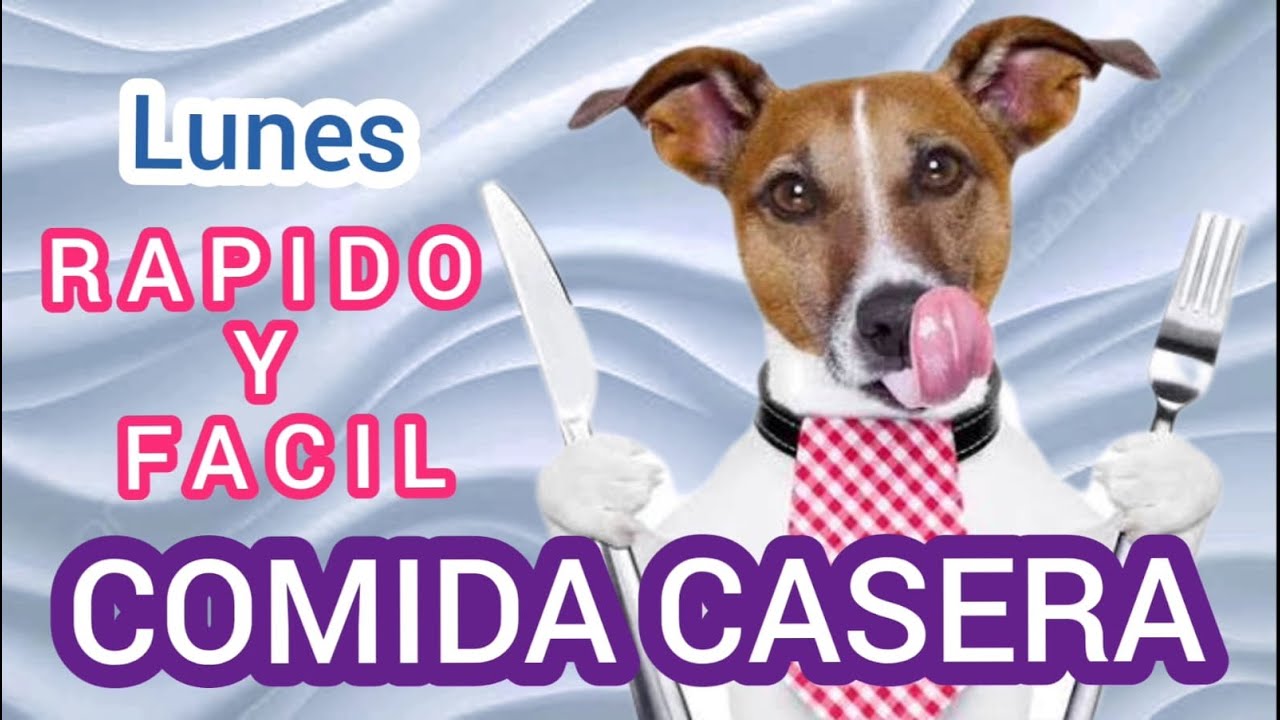 🍗Receta casera para perros felices y sanos 🐕 ¡Fácil y deliciosa!" SANGRESITA DE POLLO