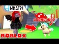 I Found An ABANDONED Golden Unicorn In Adopt Me! (Roblox)