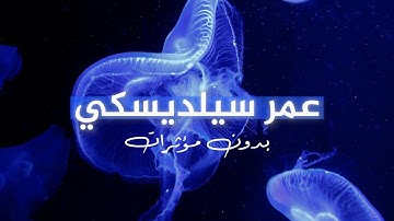 تلاوة هادئة بصوت القارئ عمر سيلديسكي - بدون مؤثرات