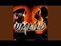 Umlilo (feat. Mtekza MT) (Remix)