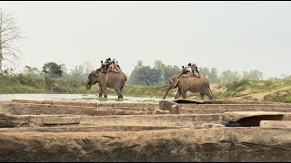 Plain to Plateau tour  | Japan to Nepal | Part I |  With Professor and Japanese Friend