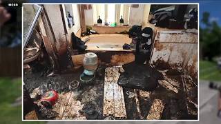 Deputies describe the filth involved rescuing 36 neglected dogs