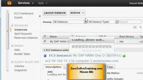 Accessing SAP HANA on AWS Tutorial 12: Staring SAP HANA One Database Service