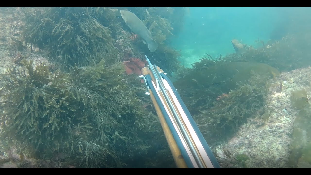 Belle-Île-en-Mer 2021 - Neptonics Double Roller Build - missed shot and reload