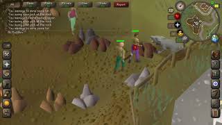 Osrs Bot Killing Non PvP World, HCIM Grind