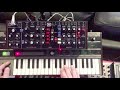 Behringer Model D Shine on You Crazy Diamond Minimoog intro