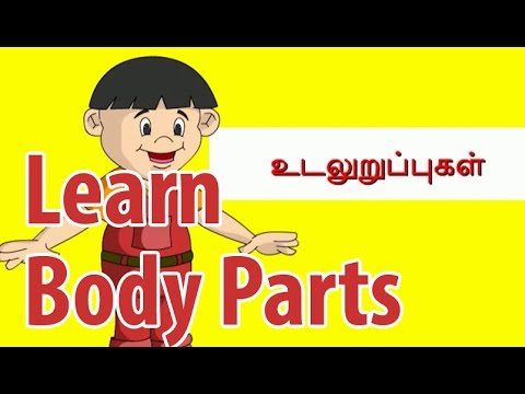 Learn Body Parts Learn Parts Of The Body For Children In Tamil Youtube