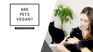 ARE PETS VEGAN? // PLANT BASED BRIDE