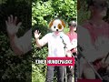 #csd #operationflut #flut #marcant #verbote