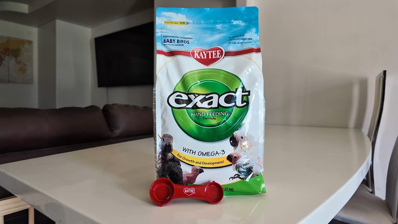 ハンドフィーディングフォーミュラ　ケイティ　イグザクトHIGH FAT Kaytee Exact Hand Feeding High Fat Baby Bird Food