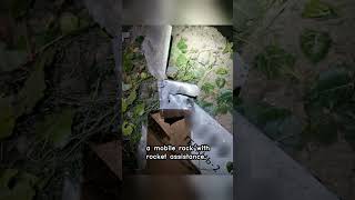 Celebrity Shahed 136: Iran's Controversial Drone Net Worth