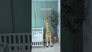 Baby boys safari theme nursery tour 🦒🦁 #babyboynursery #nurserytour #safaritheme #nurseryinspo