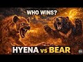 Kaela vs Bharat: Brown Hyena vs Sloth Bear — Who Wins in a Real Fight? (Science-Backed Showdown)
