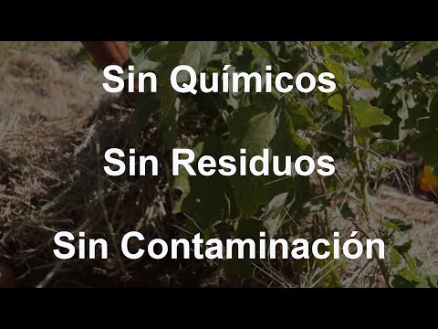 Video: Mulching Para El Control De Malezas