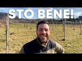 Ho MOLLATO lâ€™ufficio per venire QUA