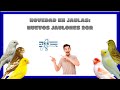 NOVEDADES EN 🐥JAULAS: NUEVOS JAULONES 2GR🐣