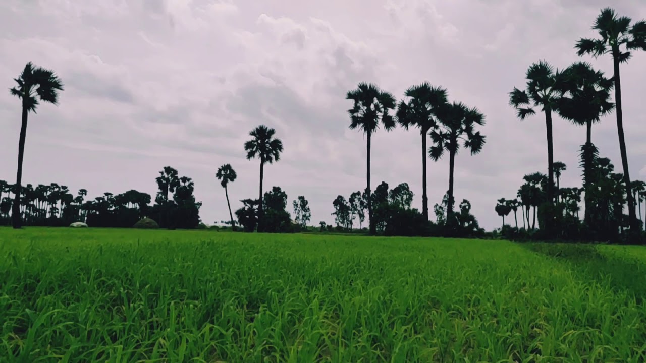 Peaceful visions, only relaxing for daily days