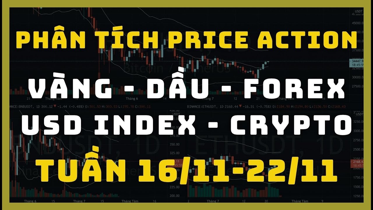 ✅Phân Tích VÀNG - DẦU - FOREX - USD INDEX - CRYPTO Theo Price Action Tuần 09/11-15/11 | TraderViet