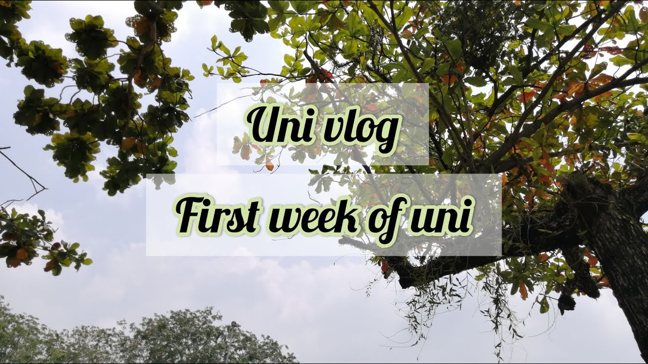 [Uni vlog]#1 First week in uni - YouTube