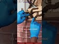 Best Termite Control Services in Bangalore | Protect Your Home Today
