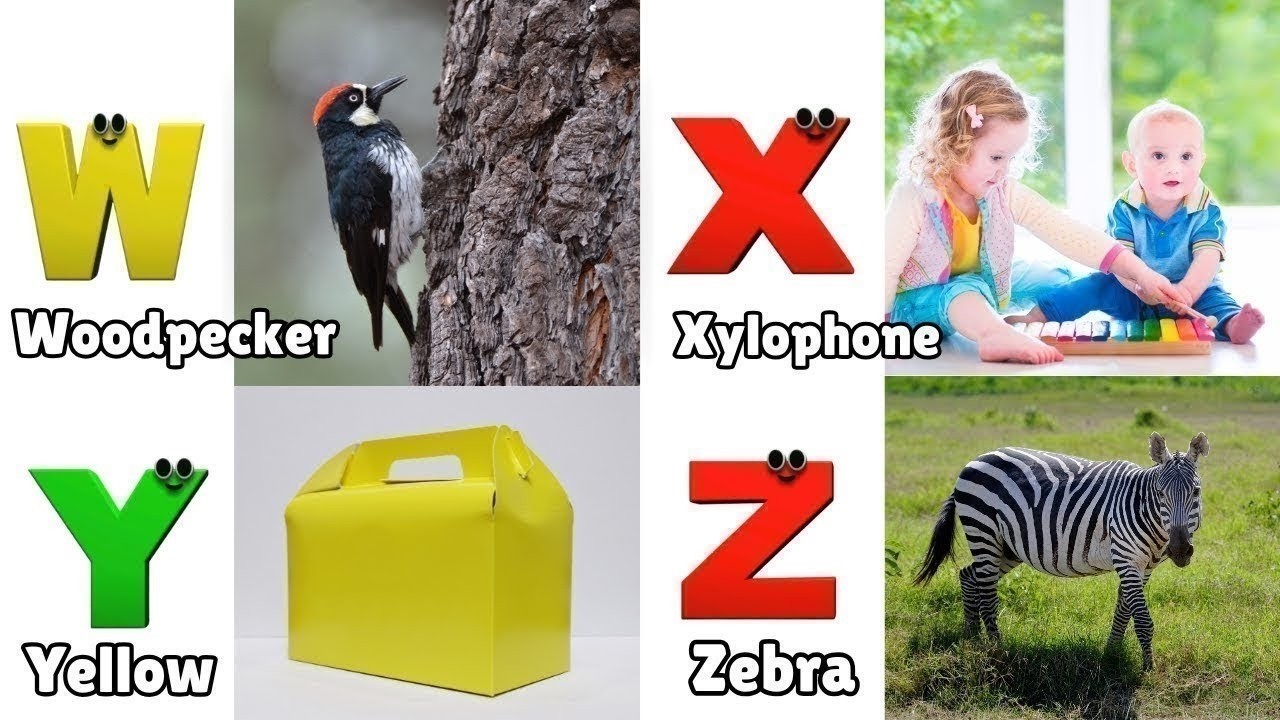 aaa•*¨*•.¸♬︎ The Letter Z | Alphabet A-Z | Jack Hartmann ABC Song - YouTube