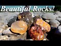 Lost Footage! Jaspers, Agates, &amp; More on a Hot Summer Day! Rockhounding with Montana Rock Mom!