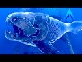 DUNKELOSTEUS UNLOCKED! - Depth | Ep2 HD