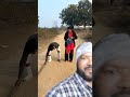 #viralvideo #comedy #youtubeshorts #surajroxfunnyvibeo #justiceforzubeengarg
