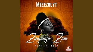 Zinyanya Zam (Radio Edit)