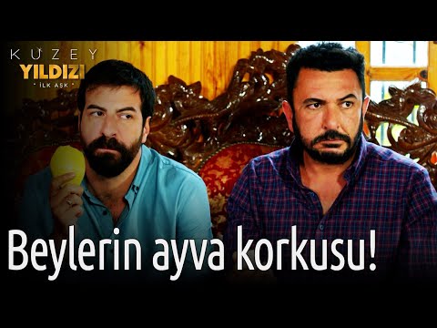 Kuzey Yıldızı İlk Aşk 40. Bölüm - Beylerin Ayva Korkusu!