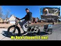 The Yoto Lion Cargo Electric Bike Is Perfect For Pets (And People)!