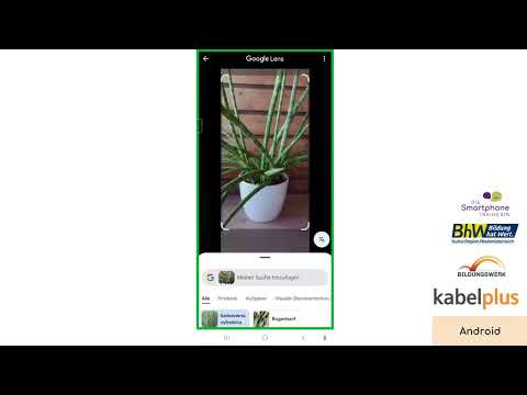 Google Lens- Wie kann man mit Handy Pflanzen erkennen? - video from Kabelplus