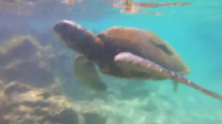 May 2019 Hawaii