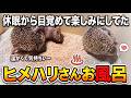 半年ぶりに目覚めてお楽しみのお風呂タイム