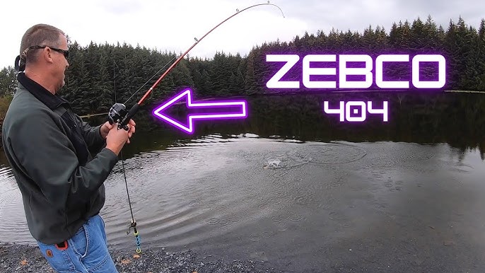 How to service and repair a modern ZEBCO 202 fishing reel 
