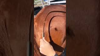 Don’t just scroll, experience this 🔮🎨 #reelsfb #shorts #usa