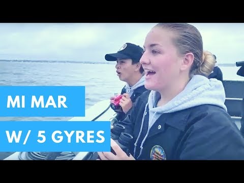 Video: Electrolux Und 5 Gyres Suchen Crewmitglied Für Sea Expedition - Matador Network