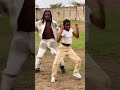 Nelsh danse Gabon