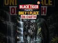 Mystery TIGER: Found in ONLY 1 Place On Earth