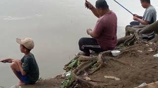 Mancing Ikan Tawes Panungangan Cisadane