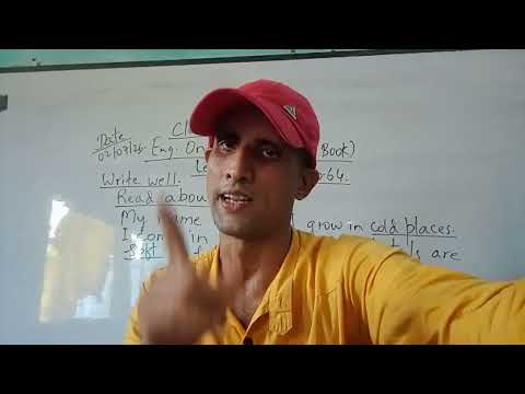 Class -1( B), English Ripples, Date -02/07/26.