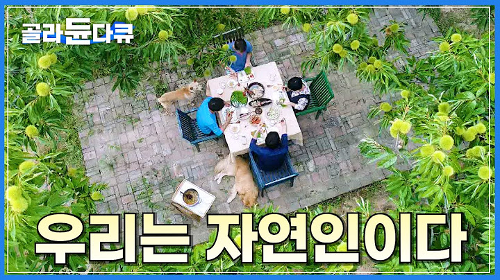 욕심 없는 사람들 모여라🌳 도시는 싫고 혼자는 부담스러워서 모여 살기로 했어요│우리는 자연인이다│한국기행│#골라듄다큐