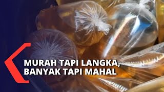 Permasalahan Minyak Goreng Curah: Murah Tapi Langka, Banyak Tapi Mahal!