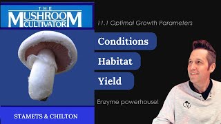 🍄11.1 Rodman’s Agaricus (button mushroom) A. bitorquis Growth Parameters, Educational Review
