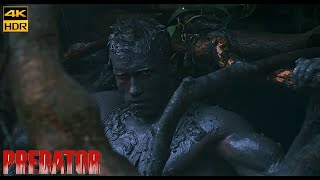 Predator 1987 \