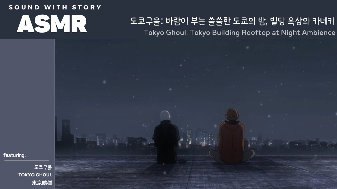 ASMR 도쿄구울 🩸 | 밤, 바람, 도쿄 빌딩 옥상에서 생각을 정리하는 카네키 🌫🌃 | Tokyo Ghoul Building Ambience with Glassy Sky |